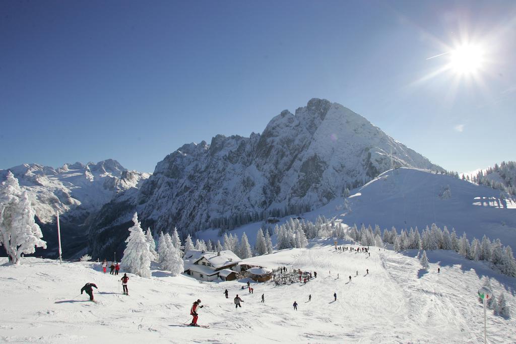 Appartment Laerchenalm Sankt Martin am Tennengebirge Exterior photo